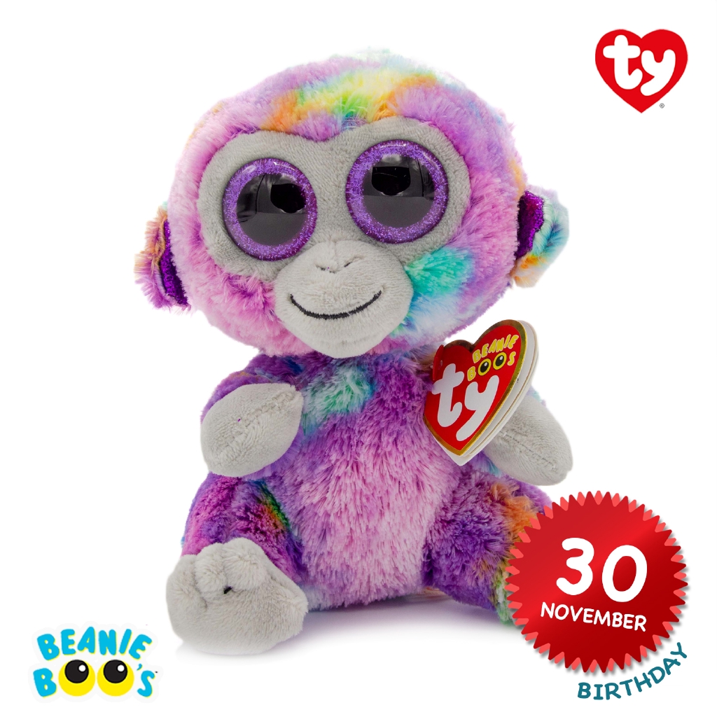 rainbow monkey teddy