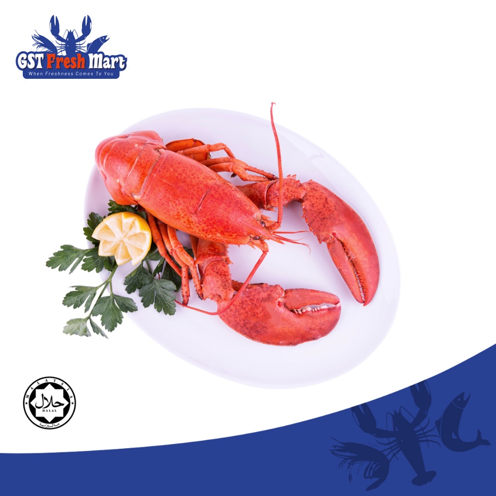 FROZEN WHOLE COOKED CANADIAN LOBSTER 400-450GM+-/NOS 冷冻熟龙虾 - GST FRESH MART