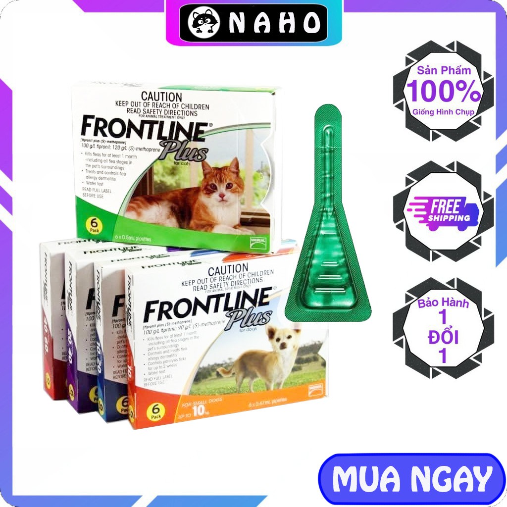 Does Dog Flea Shampoo Kill Scabies