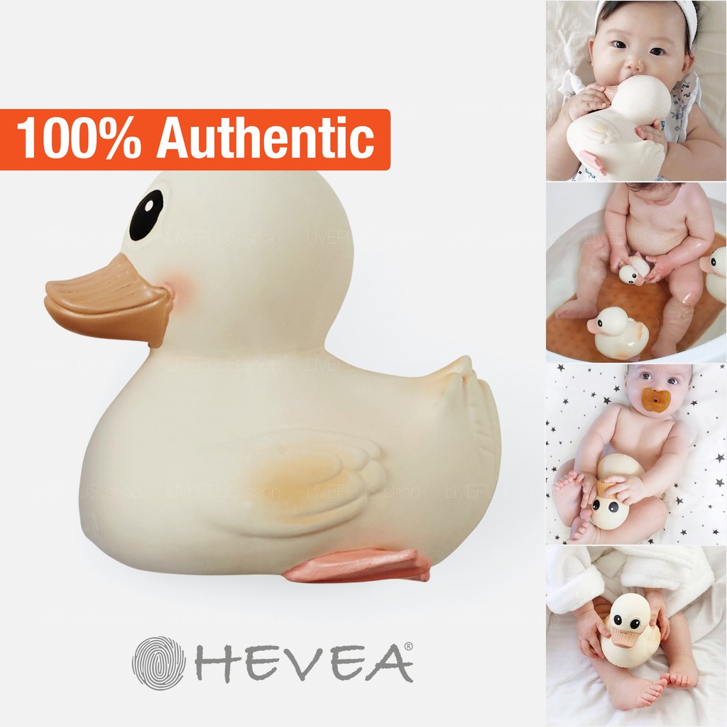 Hevea Kawan Rubber Duck Eco Friendly Natural Latex Cute Ducky Bath Toy Bebek Karet Permainan Mandi Getah Bayi 沐浴玩具橡皮小鸭 Shopee Malaysia