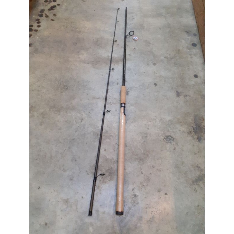 fenwick eagle gt fly rod