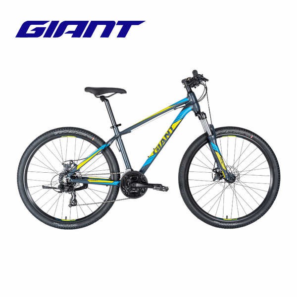 giant basikal
