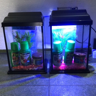 Betta Tank Betta Aquarium 1 25l Shopee Malaysia