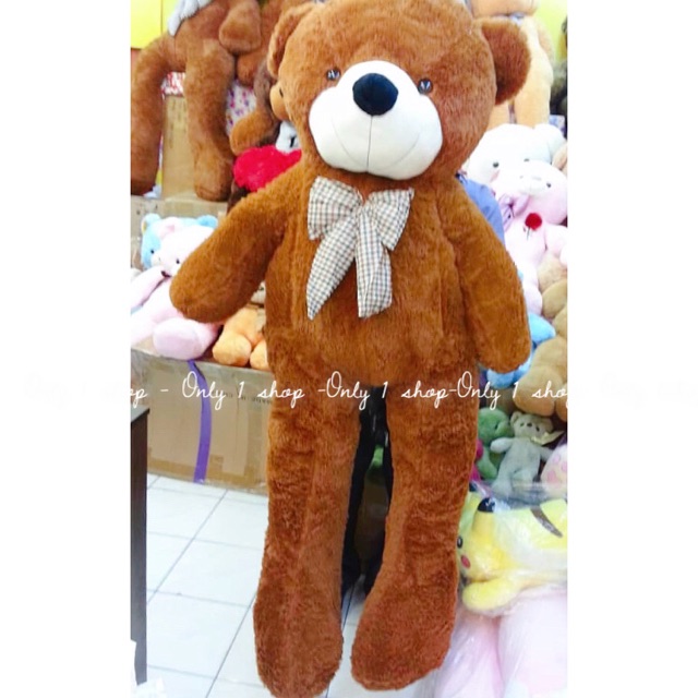 2 meter teddy bear