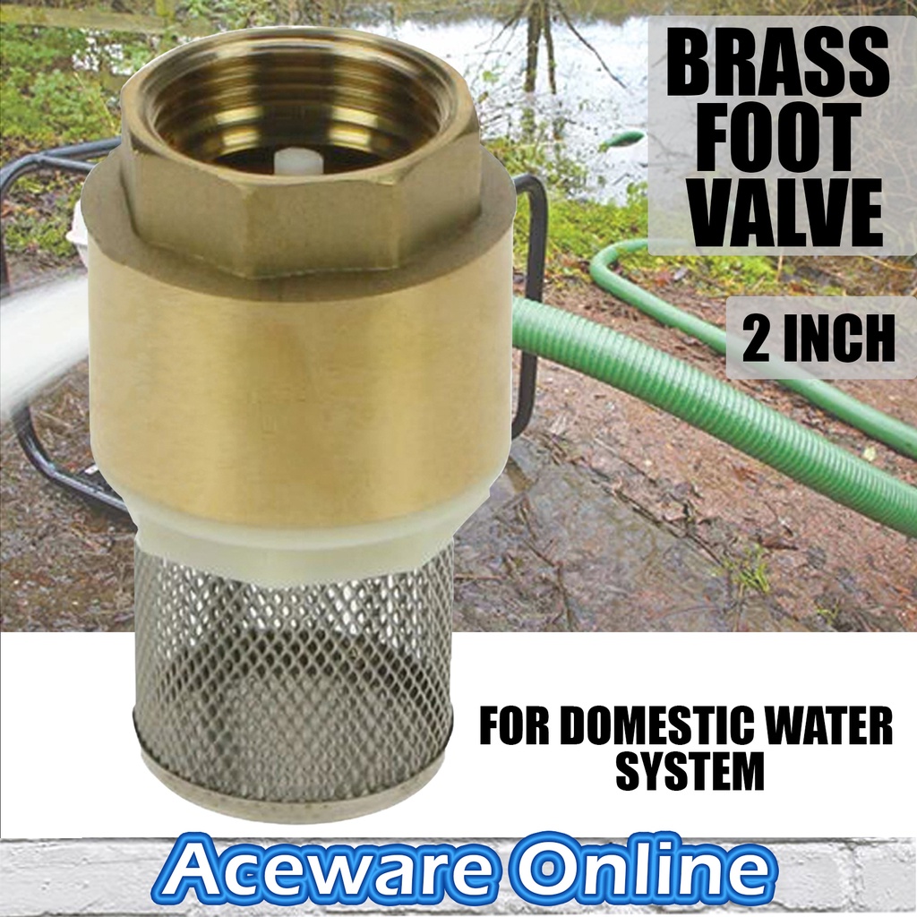 2 inch brass foot valve price