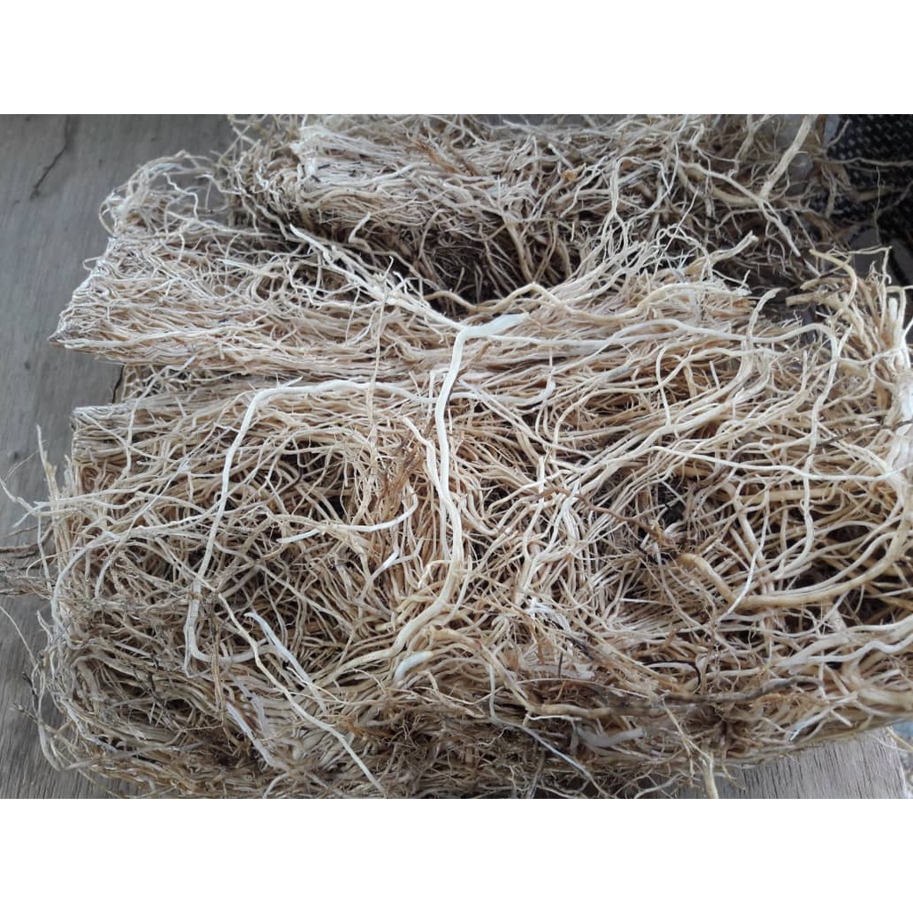 100g Dried Vetiver roots/ Akar wangi kering Shopee Malaysia