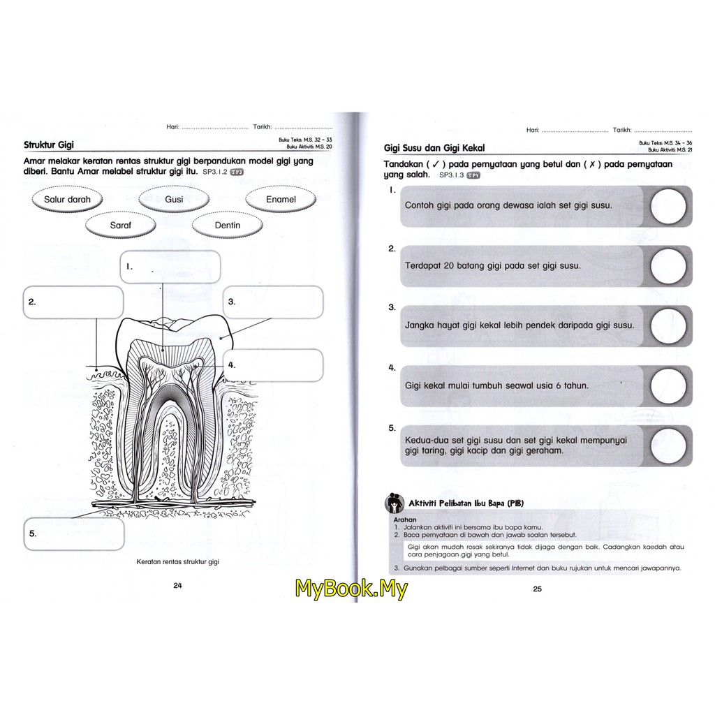 Myb Buku Latihan Aktiviti Buku Latihan Berformat Pbd Kssr Tahun 3 Sains Sasbadi Shopee Malaysia