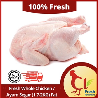Ayam Proses Segar Whole Chicken 1 8 2 0kg Shopee Malaysia