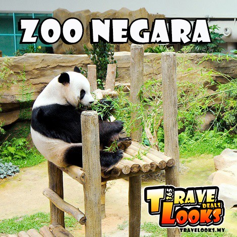 365 Deals Kuala Lumpur Zoo Negara Shopee Malaysia