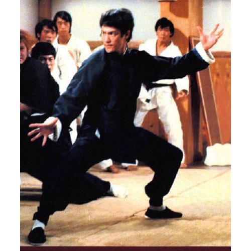 bruce lee kung fu karate