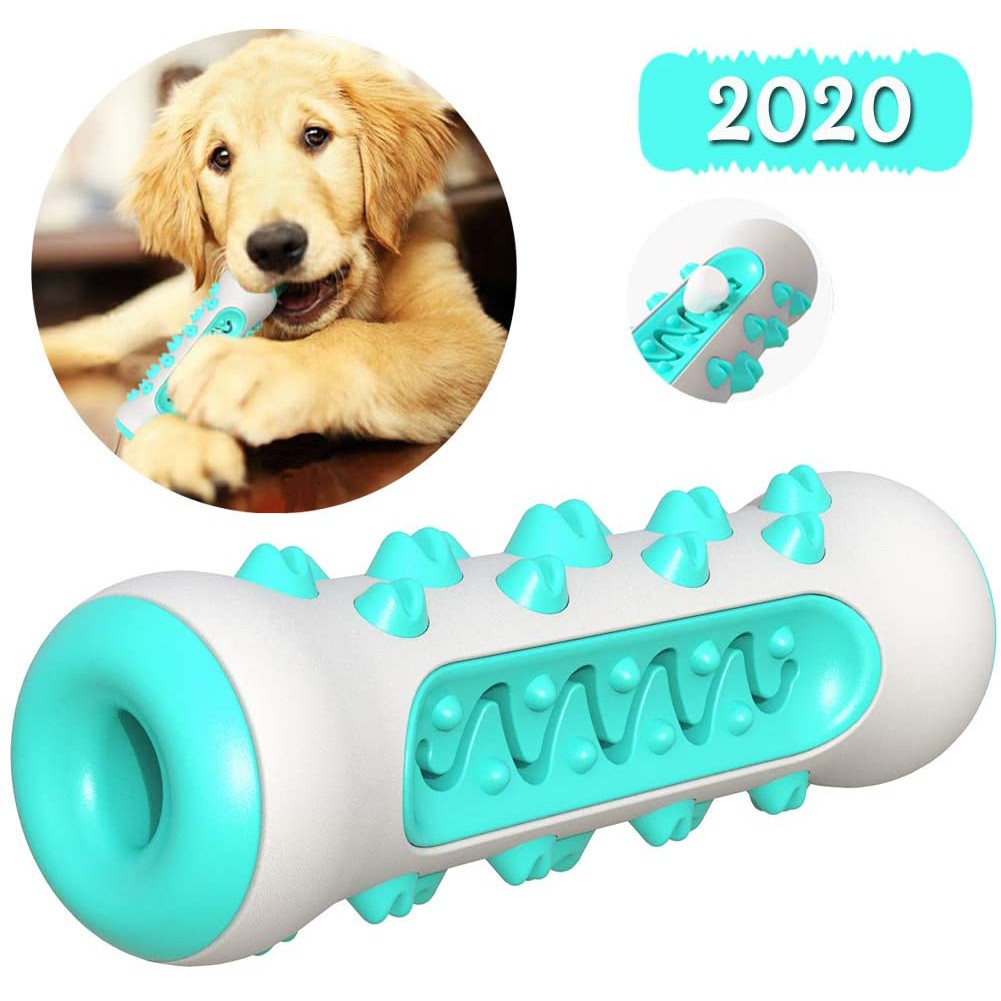 dog toothbrush chew toy