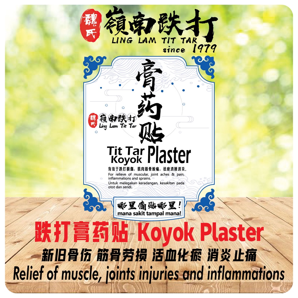 Ling Lam Tit Tar Koyok Plaster 5 piece per box 嶺南跌打新型膏药贴 5片装