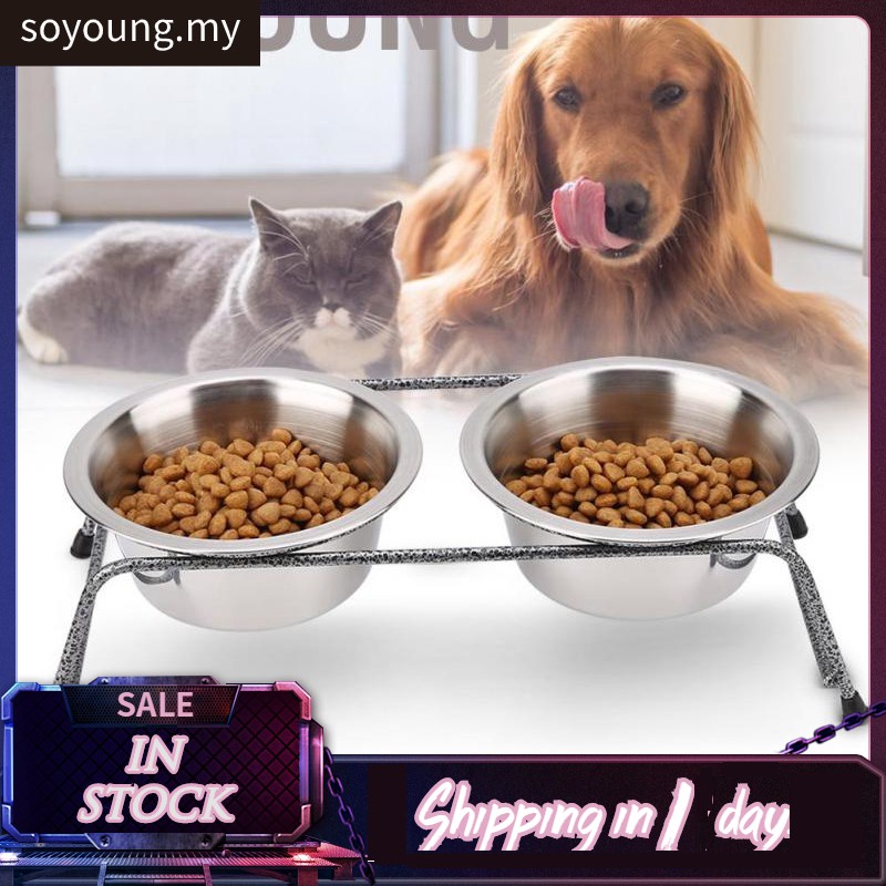 dog food water bowl stand