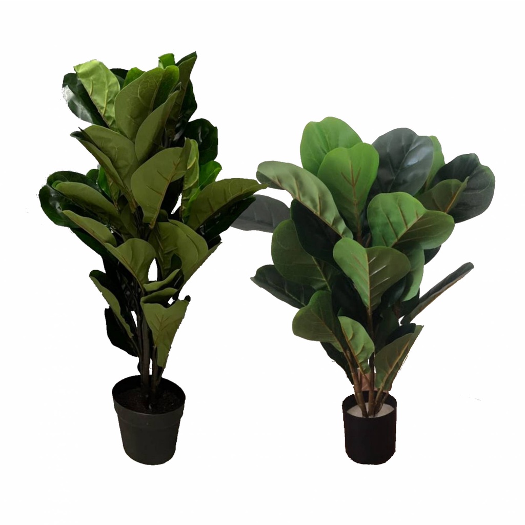 Artificial Fiddle Fig Plant Premium Quality (50cm, 90cm) Shopee Malaysia