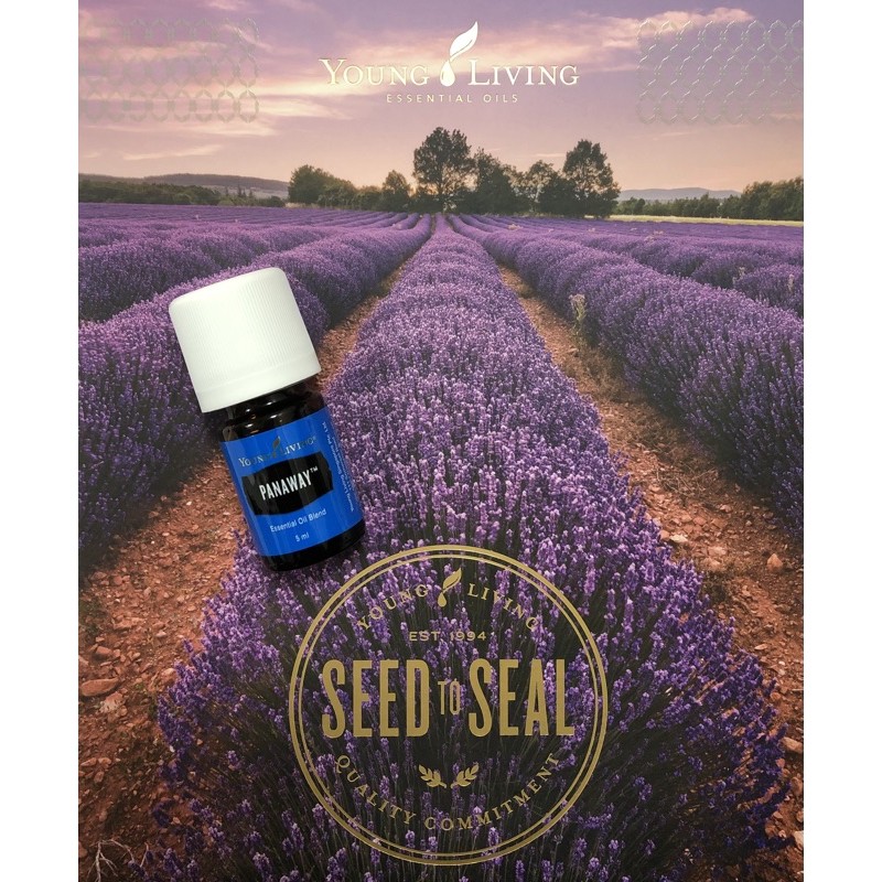 ORIGINAL Young Living PANAWAY essential oil 5ml Shopee Malaysia