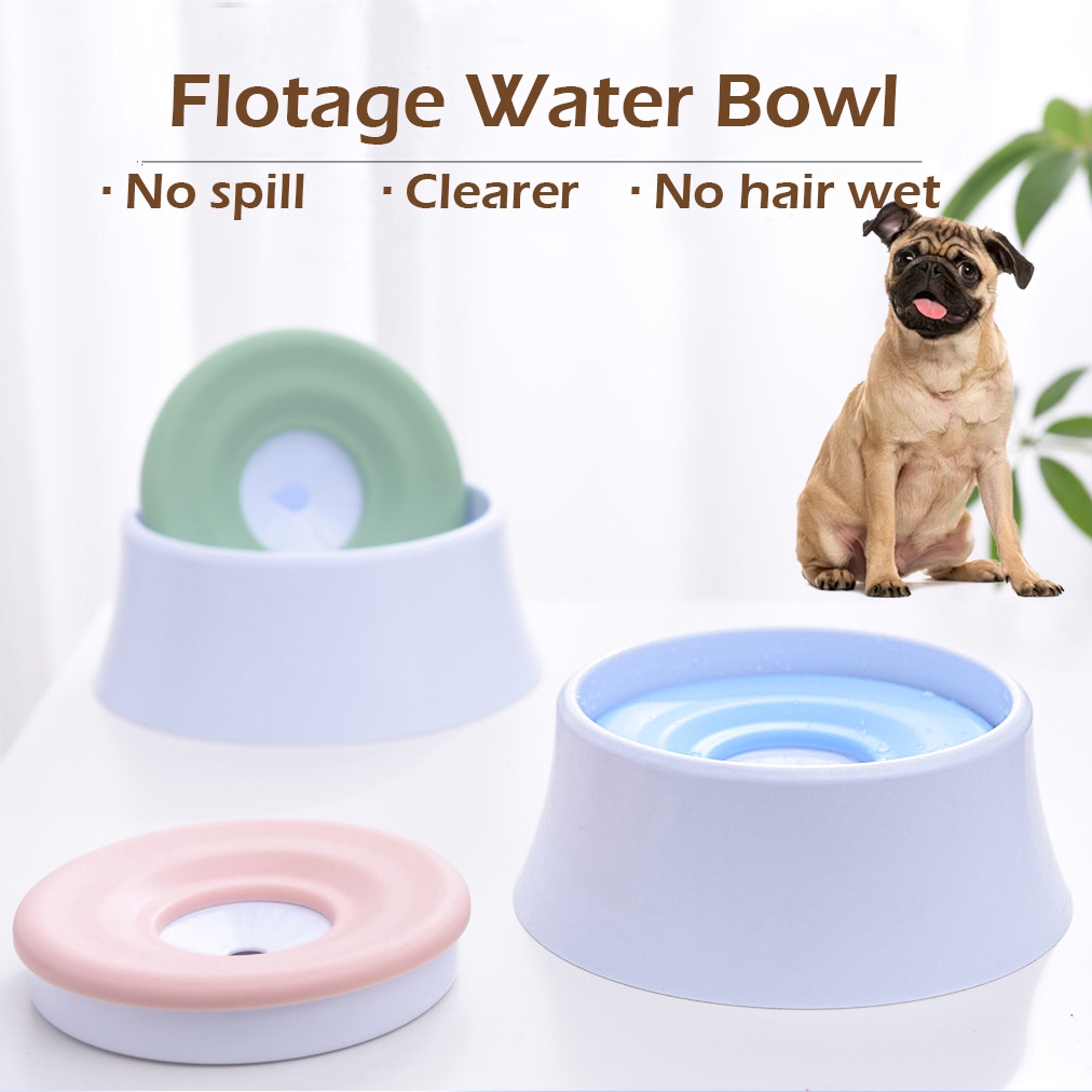 pet water dish