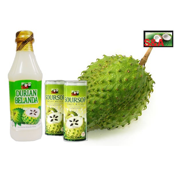 Download 8200 Gambar Durian Belanda Keren Gratis HD