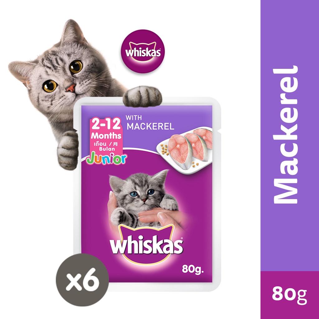 WHISKAS Junior Mackerel Flavor Kitten Wet Food Pouch (6Pack), 80g. Wet