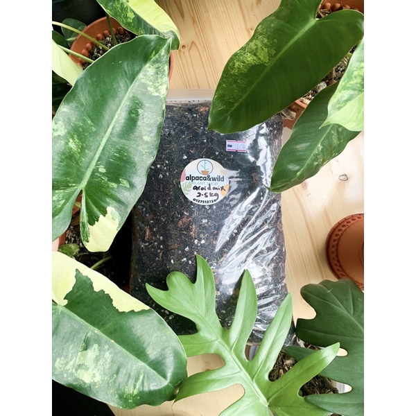 2.5kg AROID SOIL MIX/ TANAH AROID Non Soilless Potting Mix For