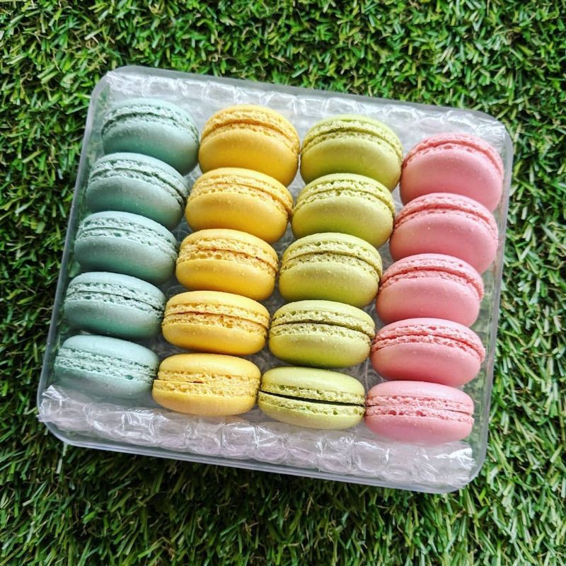 Buy Macaron Shell Only No Filling 20pcs Size Mini Seetracker Malaysia