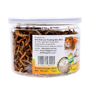Bengy Meal Worm / Mealworm 75g （+Eggs +Honey） Dehydrated Hamster Dried ...