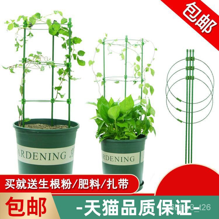 Gardening Bracket 园艺花支架家用爬藤架室内盆栽植物绿萝固定铁环花架月季花支柱