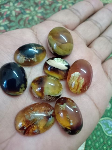 Amber Getah katilayu asli 100%  Shopee Malaysia