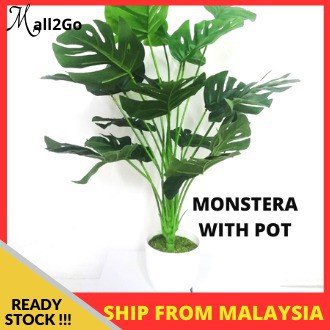 Monstera 55cm /110CM | Shopee Malaysia