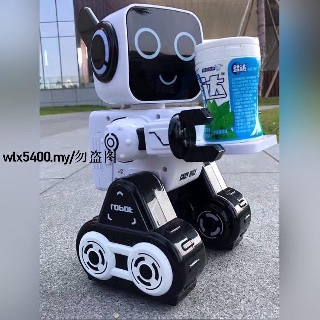 remote control small robot