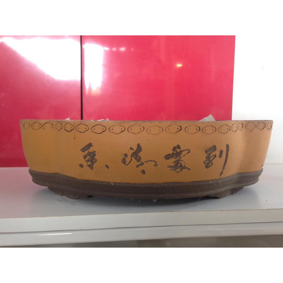  BONSAI  POTS  PASU POKOK BONSAI  Shopee  Malaysia