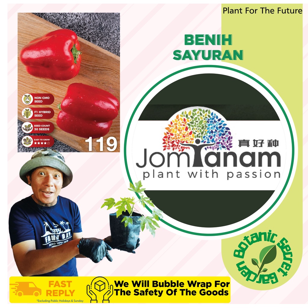 Biji Benih Buah Jom Tanam Seeds Hybrid Vegetable Seed Plant Sayur Cili ...