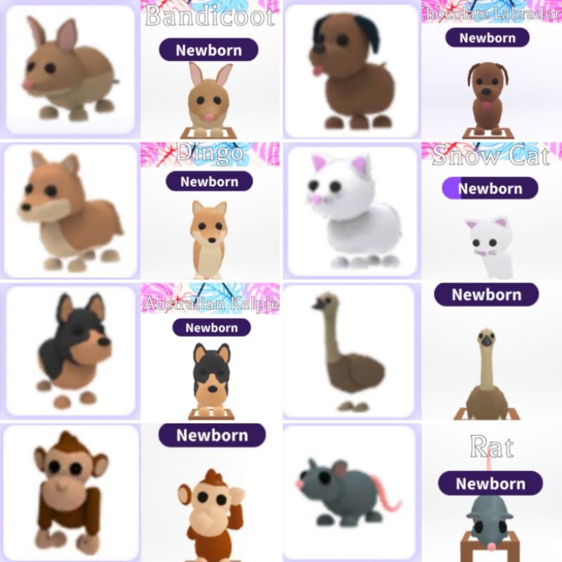 Roblox Adopt Me Pets Common Rare Shopee Malaysia - roblox adopt me common pets