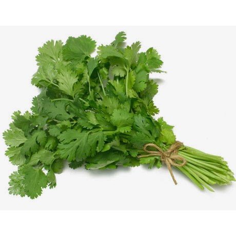 Buy Celery Leaves Daun Sup 1 Bunch Seetracker Malaysia