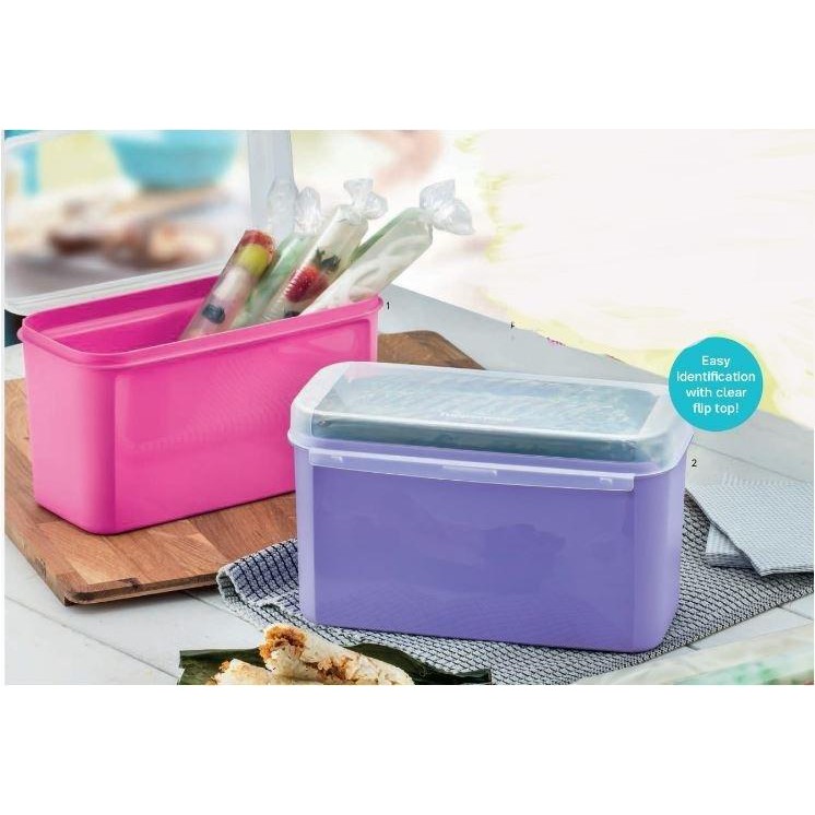 Tupperware Ezy Keeper Rectangular Small 2 6L Shopee Malaysia