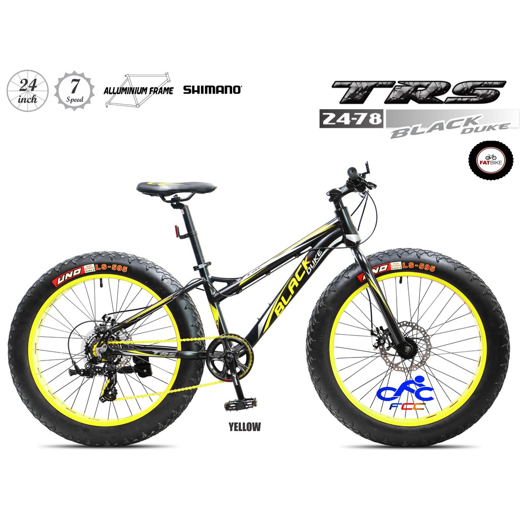 fat bike 24