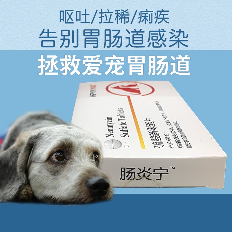 Intestinal Yanning Pets Dogs Cats Rare Diarrhea Vomit Medicine Anti