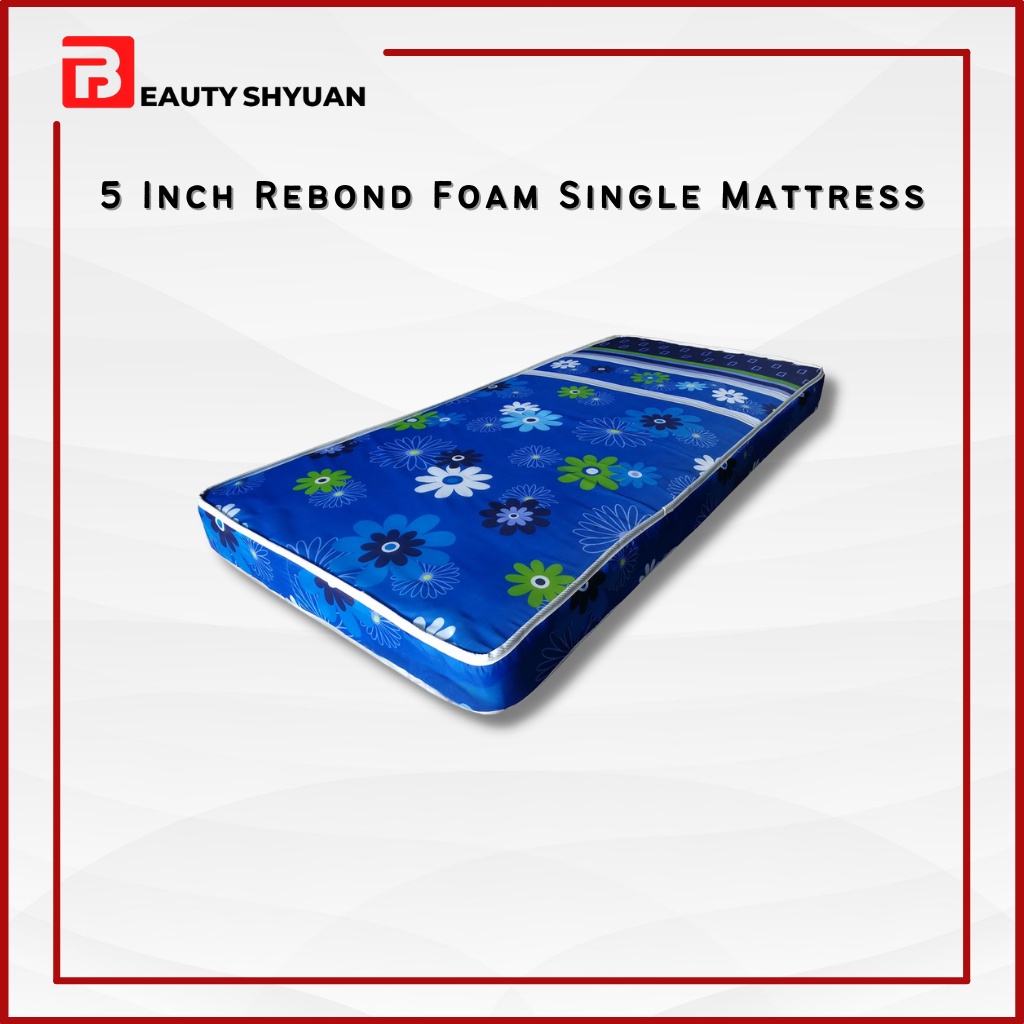 MYRA 5 & 4 Inch Reborn Mattress With Quilting Single Mattress Single