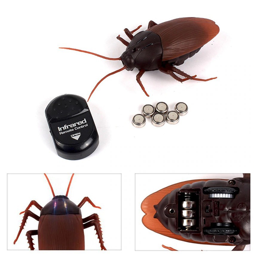 remote control insects toys