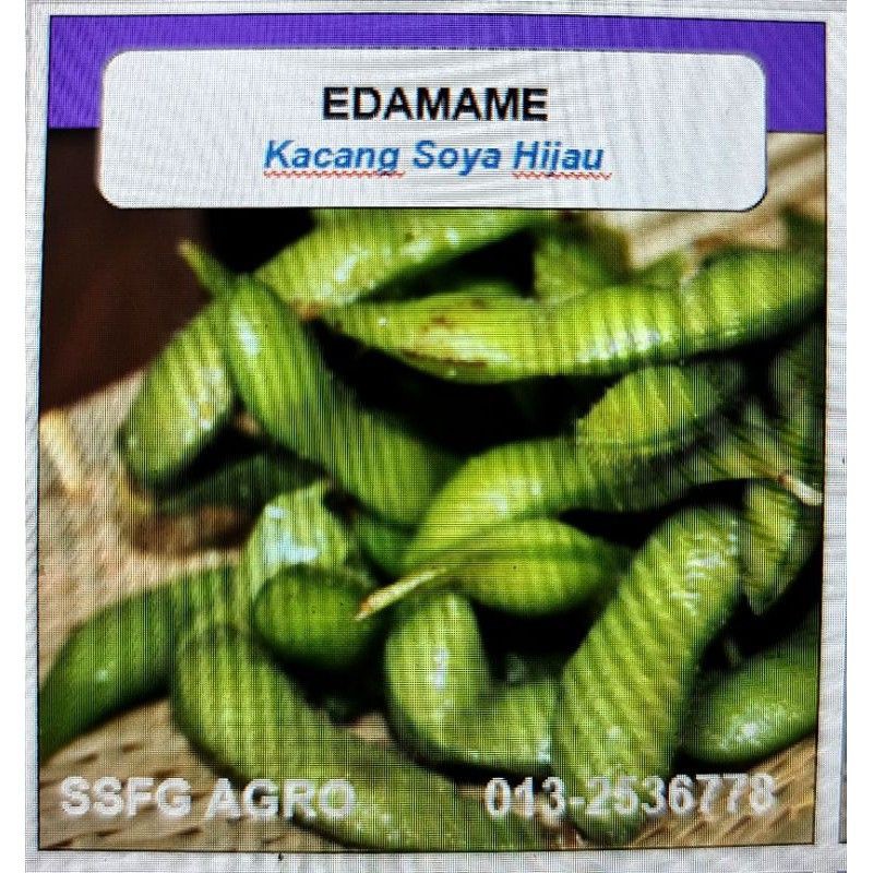 Benih Edamame Dwarf Kacang Soya Hijau 15 Biji Shopee Malaysia