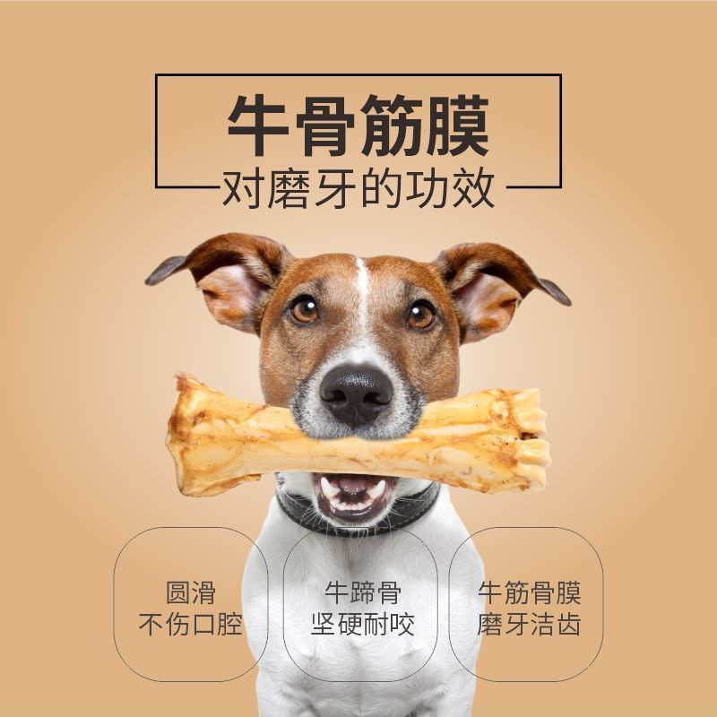 Dog Teething Stick Tongkat Gigi Anjing牛棒骨狗耐咬骨头大小型犬幼犬除口臭补钙训练宠物零食狗狗磨牙棒 Shopee Malaysia