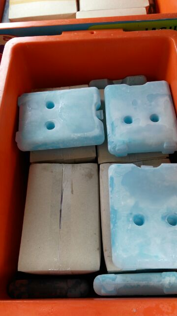Pembekal Plate Biru Ice Pack Pengganti Dry Ice Reuseble 12 Rm150 Shopee Malaysia
