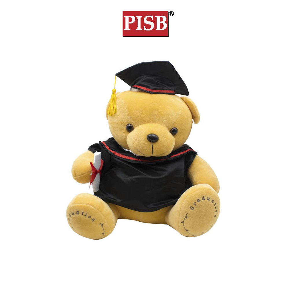 small graduation teddy bear