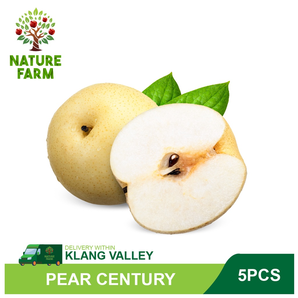 Nature Farm Pear Century China / Pir (5PCS/PKT) | Shopee Malaysia