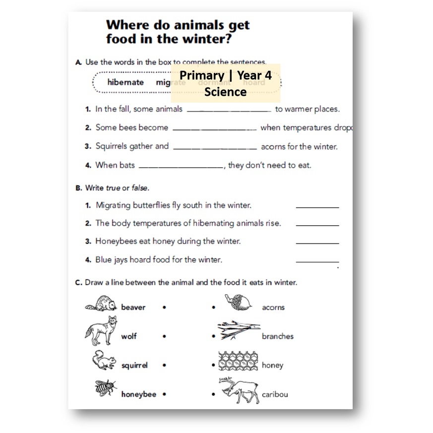 2 ks1 2 primary science worksheets with answer year 1 year 2 year 3 year 4 year 5 year 6 shopee malaysia