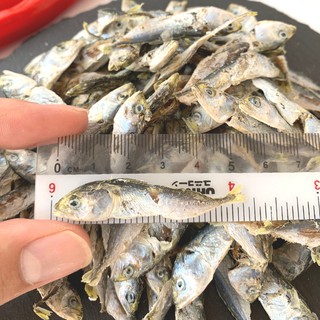  Ikan  Kembung Kecil Anak  Kembung Malaysia  Grad A 500G 