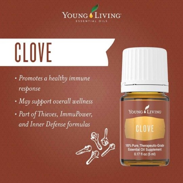Ready Stock Young Livings Clove Essential Oil 15ml Shopee Malaysia