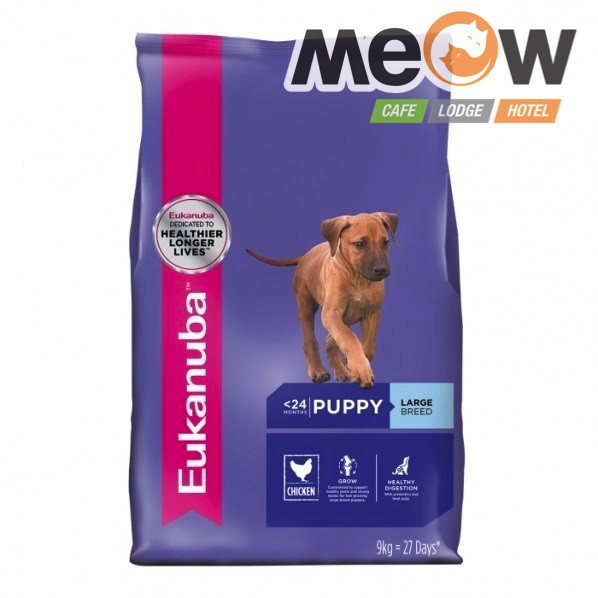 eukanuba puppy large breed 18kg