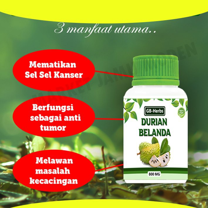 Buy Gb Herbs Kapsul Daun Durian Belanda Seetracker Malaysia