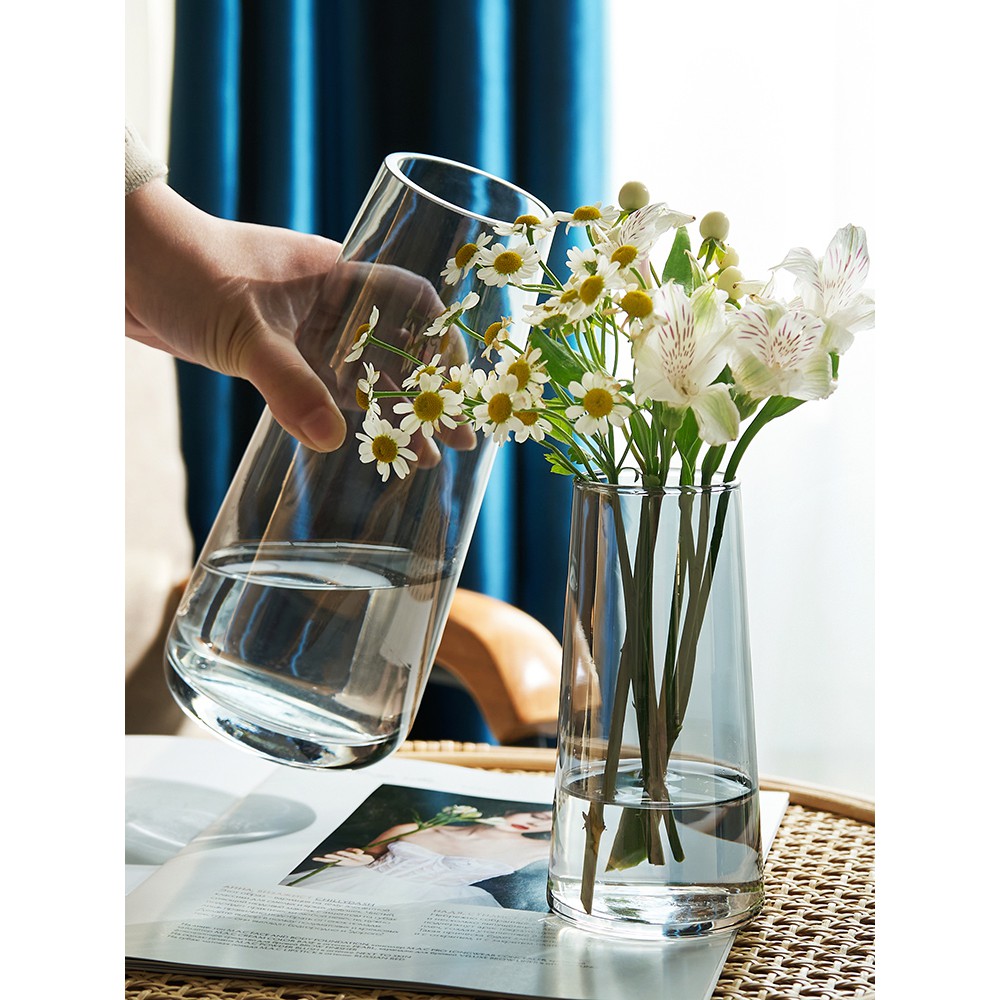 Buy 轻奢简约玻璃花瓶透明创意水培植物鲜花网红花瓶北欧客厅插花摆件eyju Seetracker Malaysia