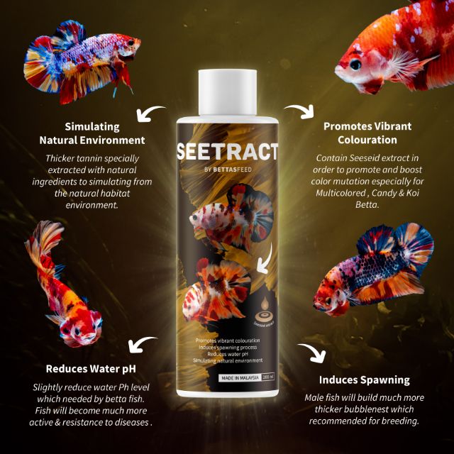 Seetract Watercare 200ml Untuk Ikan Laga Betta Fish Shopee Malaysia